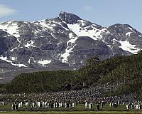 Antarctica 2003-4